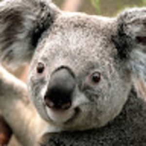 Meet your Posher, Evan